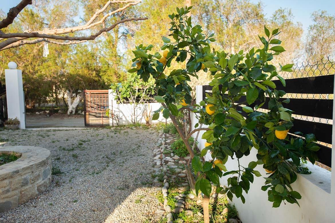 Afrathias Beachhouse - Cretan Hideaway คาลามากิ ภายนอก รูปภาพ